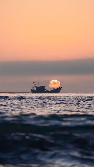 Free Boat Water photo and picture