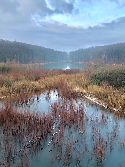 Free Winter Lake photo and picture