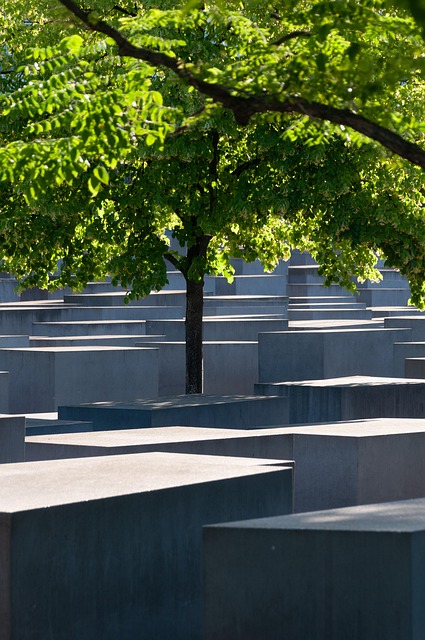 Free Tree Memorial photo and picture