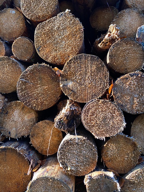 Hout, Achtergrond, Textuur, Boomstam