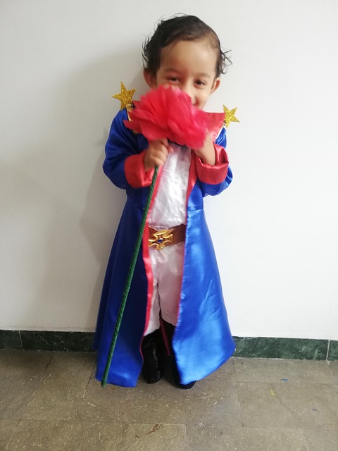 Free Little Prince Book photo and picture