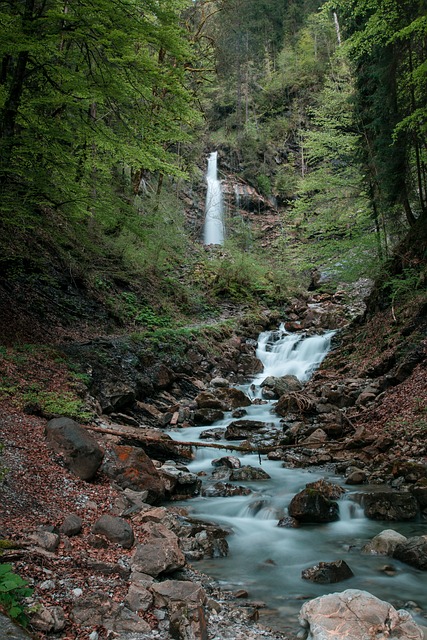 Cascada, Cañón, Bosque, Sendero, Flujo