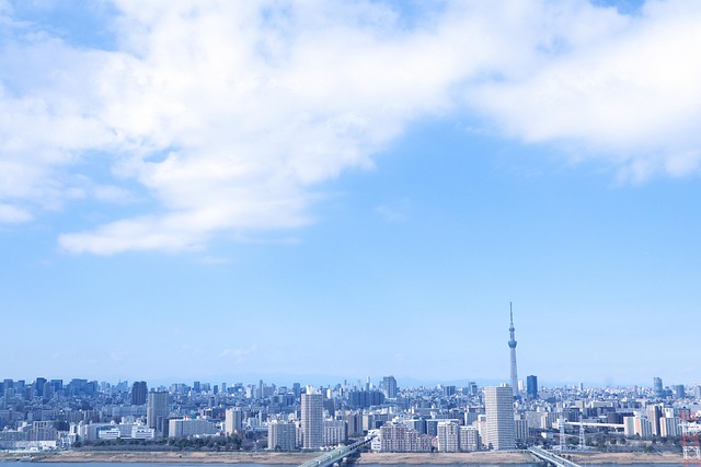 Ciudad, Distrito De Edogawa, Funaborí
