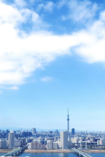 Ciudad, Distrito De Edogawa, Funaborí