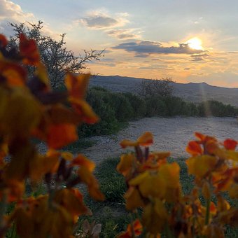 Free Nature View photo and picture