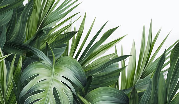 Free Ai Generated Leaves illustration and picture