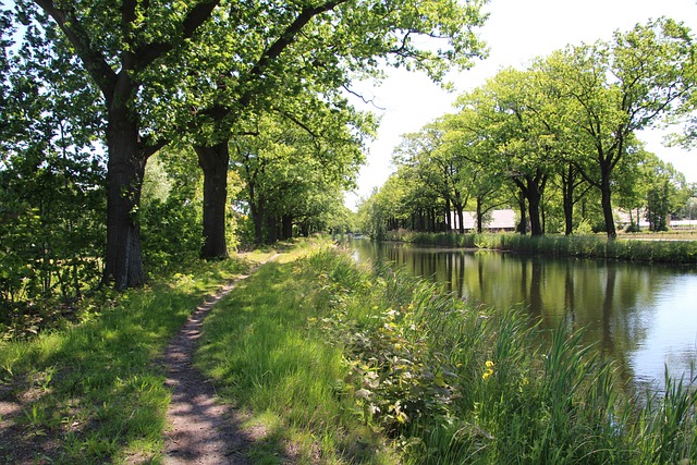 Free Channel Netherlands photo and picture