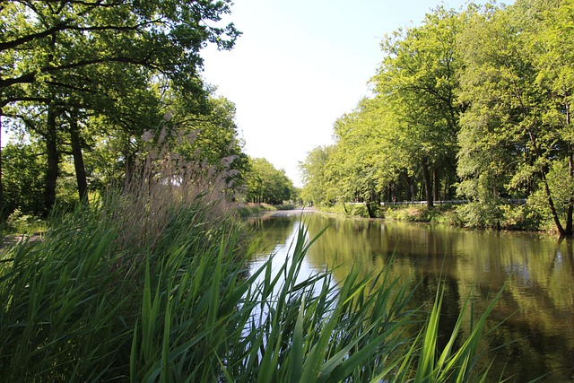 Free Channel Netherlands photo and picture