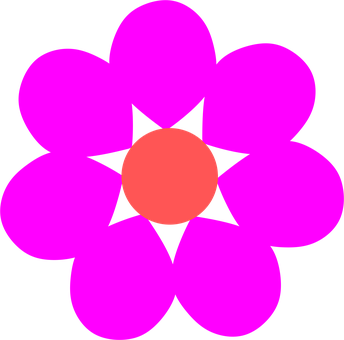 Flores, Margarida, Pétalas, Bloom