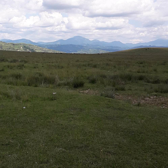 Peisaj Spectaculos, Climă Montană