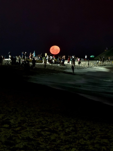 Free Moonlight Night photo and picture