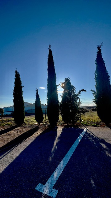 Free Cypress Parking photo and picture