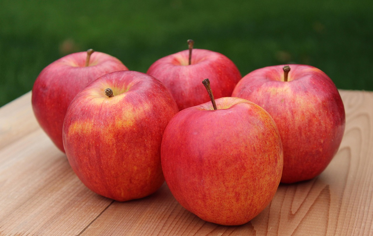 Apples Gala Fruit Free photo on Pixabay Pixabay