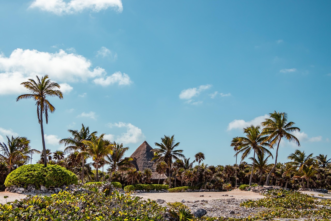 Riviera Maya transfer