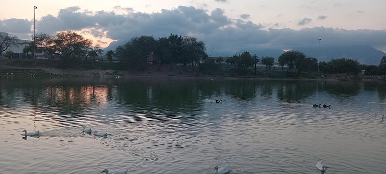 Free Ducks Landscape photo and picture