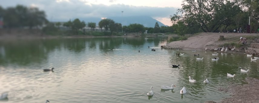Free Monterrey Laguna photo and picture