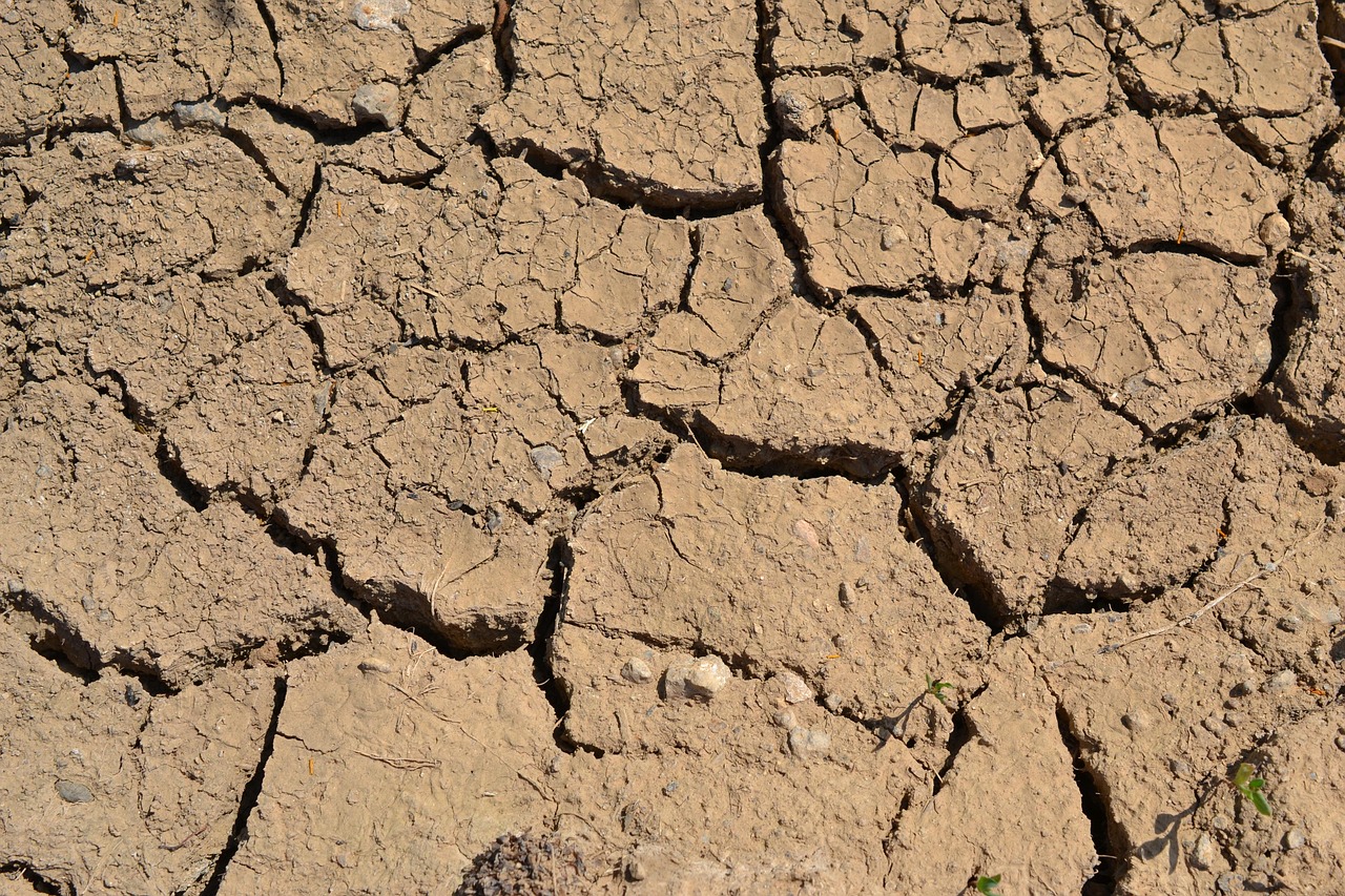 Earth Ground Dry Free photo on Pixabay Pixabay