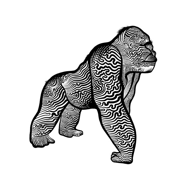 Free Gorilla Animal illustration and picture
