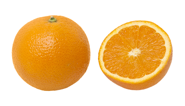 Free oranges citrus fruit illustration