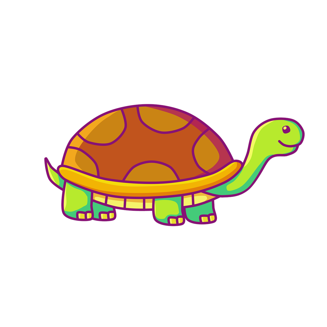 Penyu Kerang Reptil Gambar gratis di Pixabay Pixabay