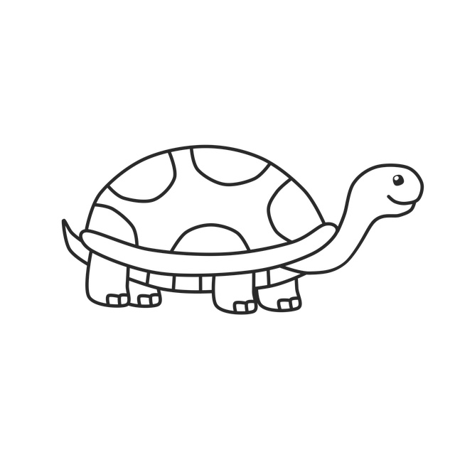 Free turtle animal line art illustration