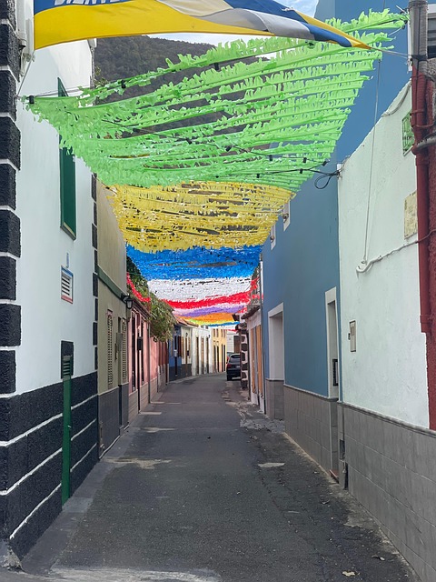 Tenerife, Icod De Los Vinos, Kanariefugl
