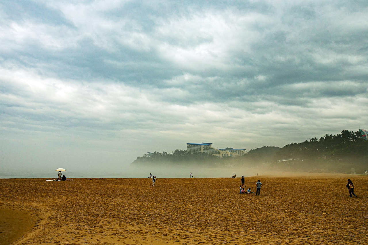 海洋 川 海雾 - Pixabay上的免费照片 - Pixabay
