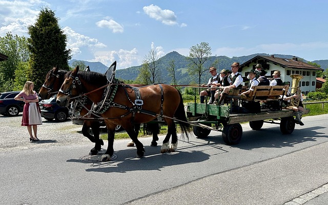 Free Horse Coach photo and picture