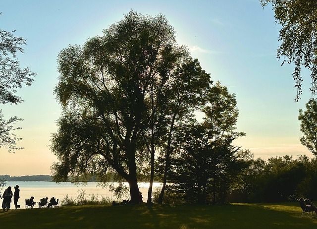 Free Eve Sunset photo and picture