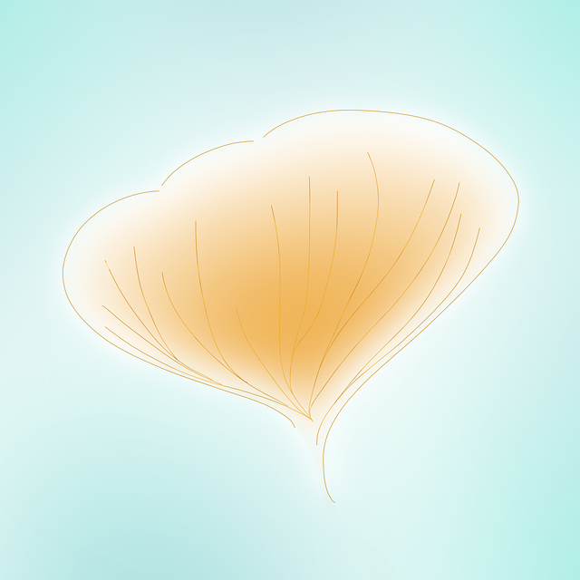 Free gingko japan flower illustration