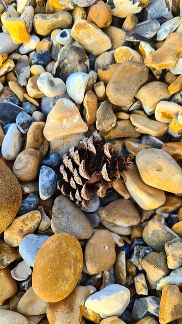 Free Beach Stones photo and picture