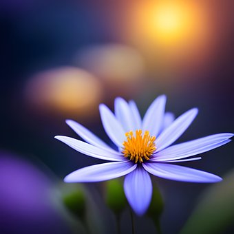 Free Flower Bloom illustration and picture
