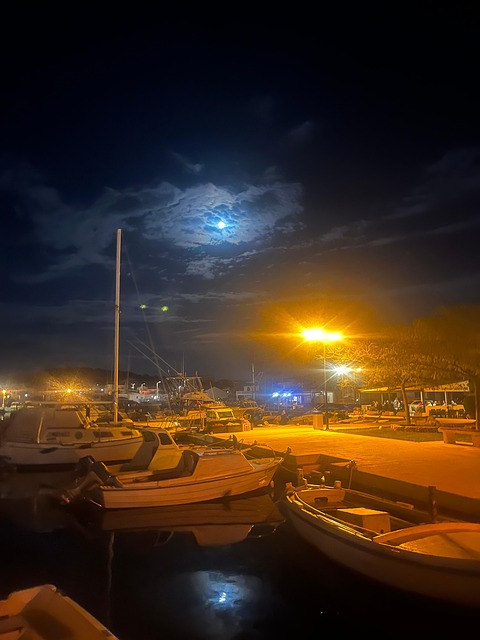 Free Moon Night photo and picture