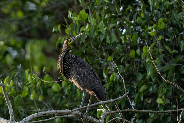 Free Looking Away Legs photo and picture