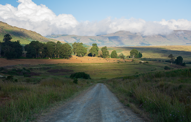 Paisaje, Luz, Sombra, La Carretera