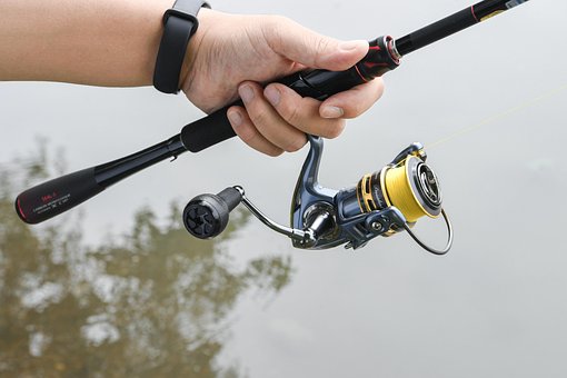 Free Gomexus Spinning Reel photo and picture