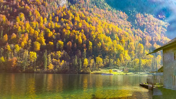 Free Lake Forest photo and picture