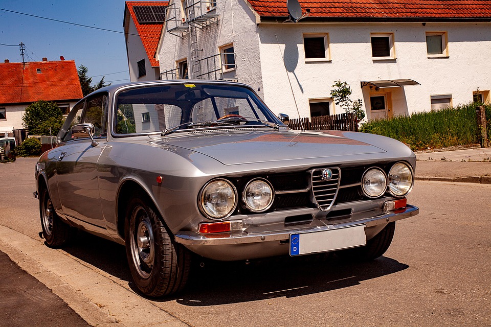 500 Kostenlose Lobo Alpha Und Alfa Romeo-Bilder – IOOA