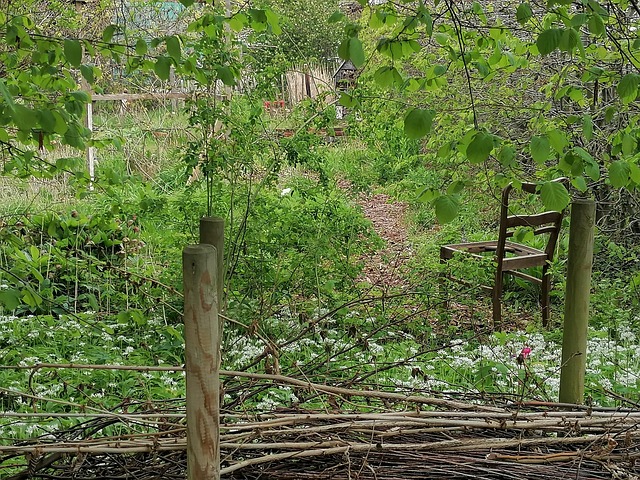 Free Garden Green photo and picture