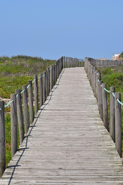 Pad, Web, Wandelen, Duinen, Beweging
