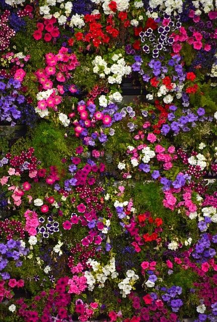 Floral Regeling, Bloemendecoraties, Roze