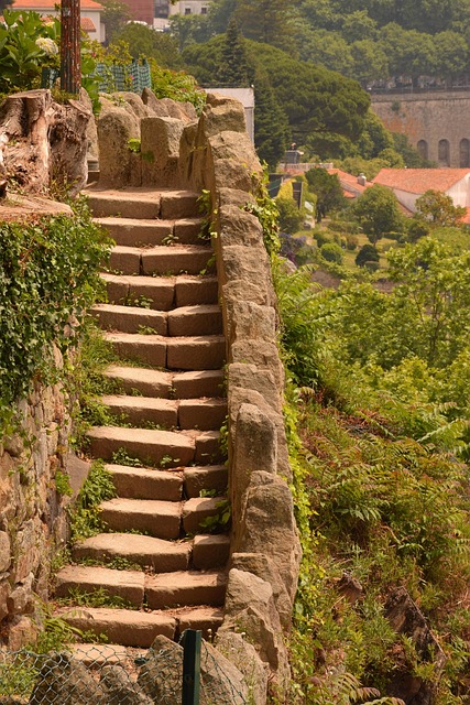 Trap, Wandelen, Porto, Tuin