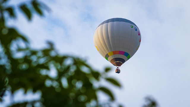 Free Balloon Sky photo and picture