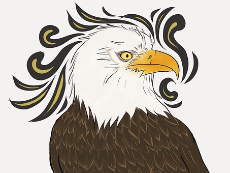 Free Eagle Bird photo and picture