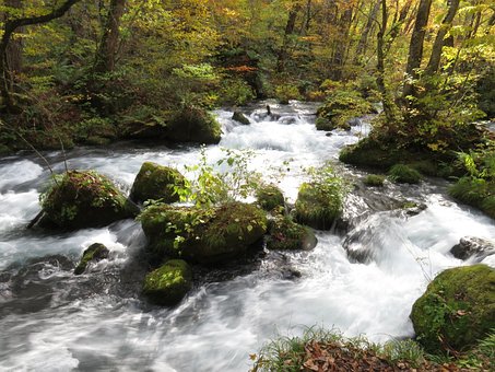 Free Oirase River River photo and picture
