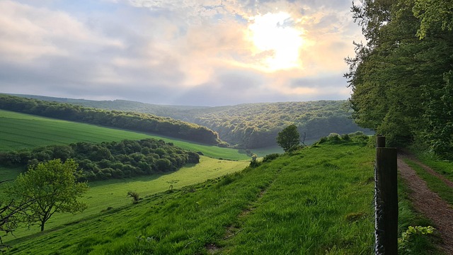 Free South Downs Sussex photo and picture