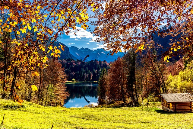 Free Oberstdorf Lake photo and picture