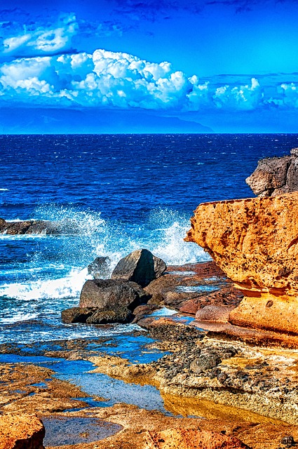 Free Rocky Coast Ocean photo and picture