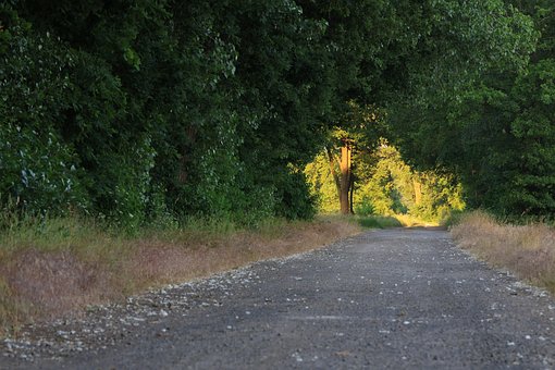 Free Dirt Road Nature illustration and picture