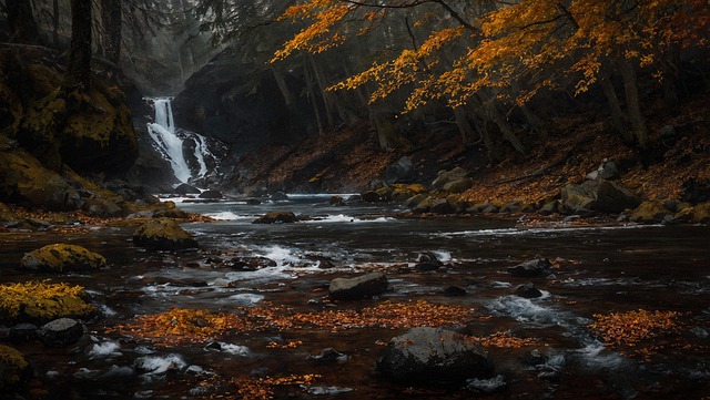 Autumn, Forest Waterfall, Water, River